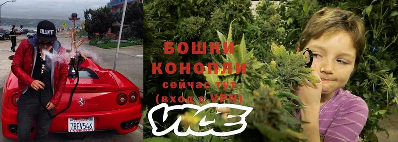 где купить наркоту  Северо-Курильск  Канабис THC 21% 